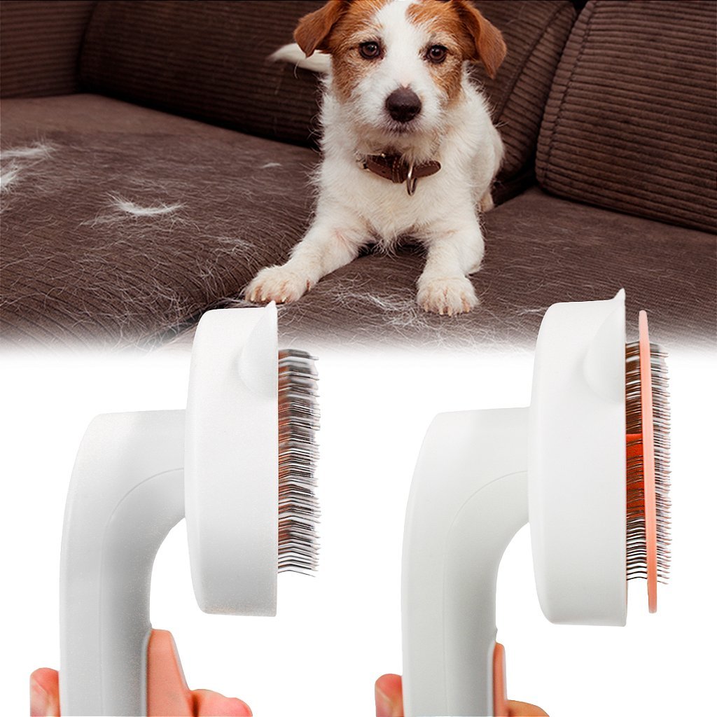 Pet Scraper Hair Remover